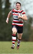 24 March 2019; Richie Dunne of Enniscorthy RFC during the Bank of Ireland Provincial Towns Cup Semi-Final match between Enniscorthy RFC and Gorey RFC at Wexford Wanderers RFC in Wexford. Photo by Matt Browne/Sportsfile