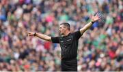 31 March 2019; Referee James Owens during the Allianz Hurling League Division 1 Final match between Limerick and Waterford at Croke Park in Dublin. Photo by Piaras Ó Mídheach/Sportsfile