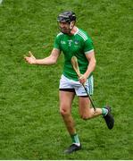 31 March 2019; Diarmaid Byrnes of Limerick celebrates following the Allianz Hurling League Division 1 Final match between Limerick and Waterford at Croke Park in Dublin. Photo by Ramsey Cardy/Sportsfile