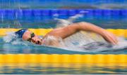 31 March 2019; Amelia Kane of Ards SC, Co. Down competes in the Female 1500m Freestyle (Final Heat) during the Irish Long Course Swimming Championships at the National Aquatic Centre in Abbotstown, Dublin. Photo by Harry Murphy/Sportsfile