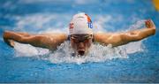 31 March 2019; Ellen Walshe of Templeogue SC, Co. Dublin competes in the Female 100m Butterfly Open Final during the Irish Long Course Swimming Championships at the National Aquatic Centre in Abbotstown, Dublin. Photo by Harry Murphy/Sportsfile