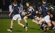 6 April 2019; Action from the Bank of Ireland Half-Time Minis between Birr RFC and Ratoath RFC at the Guinness PRO14 Round 19 match between Leinster and Benetton at the RDS Arena in Dublin. Photo by David Fitzgerald/Sportsfile