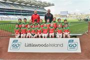 13 April 2019; Michael Davitts GAA Club Co Carlow pictured at the Littlewoods Ireland Go Games Provincial Days in Croke Park. This year over 6,000 boys and girls aged between six and twelve represented their clubs in a series of mini blitzes and just like their heroes got to play in Croke Park. Photo by Matt Browne/Sportsfile