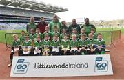 13 April 2019; Duffry Rovers GAA Club, Co. Wexford, pictured at the Littlewoods Ireland Go Games Provincial Days in Croke Park. This year over 6,000 boys and girls aged between six and twelve represented their clubs in a series of mini blitzes and just like their heroes got to play in Croke Park. Photo by Matt Browne/Sportsfile