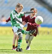 13 April 2019; Luke Farrell from O'Raghallaighs Gaelic GAA Club Co Louth in action against St Vincents GAA Club Co Longford at the Littlewoods Ireland Go Games Provincial Days in Croke Park. This year over 6,000 boys and girls aged between six and twelve represented their clubs in a series of mini blitzes and just like their heroes got to play in Croke Park. Photo by Matt Browne/Sportsfile