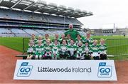 14 April 2019; The Round Towers Clondalkin, Co Dublin, team at the Littlewoods Ireland Go Games Provincial Days in Croke Park. This year over 6,000 boys and girls aged between six and twelve represented their clubs in a series of mini blitzes and just like their heroes got to play in Croke Park. Photo by Piaras Ó Mídheach/Sportsfile
