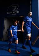 13 April 2019; Mascots at the Guinness PRO14 Round 20 match between Leinster and Glasgow Warriors at the RDS Arena in Dublin. Photo by Stephen McCarthy/Sportsfile