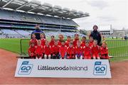 14 April 2019; The Ballinstragh Gaels, Co Wexford, team at the Littlewoods Ireland Go Games Provincial Days in Croke Park. This year over 6,000 boys and girls aged between six and twelve represented their clubs in a series of mini blitzes and just like their heroes got to play in Croke Park. Photo by Piaras Ó Mídheach/Sportsfile