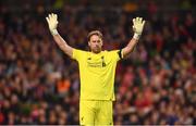 12 April 2019; Sander Westerveld of Liverpool FC Legends during the Sean Cox Fundraiser match between the Republic of Ireland XI and Liverpool FC Legends at the Aviva Stadium in Dublin. Photo by Sam Barnes/Sportsfile