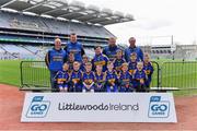 14 April 2019; The Carnew Emmets, Co Wicklow, team at the Littlewoods Ireland Go Games Provincial Days in Croke Park. This year over 6,000 boys and girls aged between six and twelve represented their clubs in a series of mini blitzes and just like their heroes got to play in Croke Park. Photo by Piaras Ó Mídheach/Sportsfile