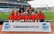 14 April 2019; The Clonaslee-St.Manmans, Co Laois, team at the Littlewoods Ireland Go Games Provincial Days in Croke Park. This year over 6,000 boys and girls aged between six and twelve represented their clubs in a series of mini blitzes and just like their heroes got to play in Croke Park. Photo by Piaras Ó Mídheach/Sportsfile