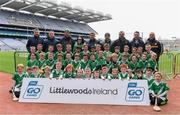 14 April 2019; The Mooncoin, Co Kilkenny, team at the Littlewoods Ireland Go Games Provincial Days in Croke Park. This year over 6,000 boys and girls aged between six and twelve represented their clubs in a series of mini blitzes and just like their heroes got to play in Croke Park. Photo by Piaras Ó Mídheach/Sportsfile