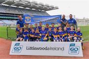 14 April 2019; The Gusserane O'Rahillys, Co Wexford, team at the Littlewoods Ireland Go Games Provincial Days in Croke Park. This year over 6,000 boys and girls aged between six and twelve represented their clubs in a series of mini blitzes and just like their heroes got to play in Croke Park. Photo by Piaras Ó Mídheach/Sportsfile