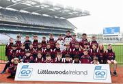 16 April 2019; Boyle, Roscommon, at the Littlewoods Ireland Go Games Provincial Days in Croke Park. This year over 6,000 boys and girls aged between six and twelve represented their clubs in a series of mini blitzes and – just like their heroes – got to play in Croke Park, Dublin.  Photo by Eóin Noonan/Sportsfile