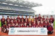 16 April 2019; Ballinrobe, Mayo, at the Littlewoods Ireland Go Games Provincial Days in Croke Park. This year over 6,000 boys and girls aged between six and twelve represented their clubs in a series of mini blitzes and – just like their heroes – got to play in Croke Park, Dublin.  Photo by Eóin Noonan/Sportsfile