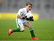 16 April 2019; Action from the game between Burrishoole, Mayo, and Dromhair St Patricks, Leitrim, at the Littlewoods Ireland Go Games Provincial Days in Croke Park. This year over 6,000 boys and girls aged between six and twelve represented their clubs in a series of mini blitzes and – just like their heroes – got to play in Croke Park, Dublin.  Photo by Eóin Noonan/Sportsfile