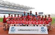 19 April 2019; The Durlas Óg, Co Tipperary, team at the Littlewoods Ireland Go Games Provincial Days in Croke Park. This year over 6,000 boys and girls aged between six and twelve represented their clubs in a series of mini blitzes and – just like their heroes – got to play in Croke Park, Dublin.  Photo by Piaras Ó Mídheach/Sportsfile