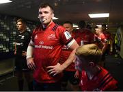 20 April 2019; Munster captain Peter O'Mahony prepares to lead his side out prior to the Heineken Champions Cup Semi-Final match between Saracens and Munster at the Ricoh Arena in Coventry, England. Photo by David Fitzgerald/Sportsfile