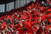 20 April 2019; Munster supporters prior to the Heineken Champions Cup Semi-Final match between Saracens and Munster at the Ricoh Arena in Coventry, England. Photo by Brendan Moran/Sportsfile