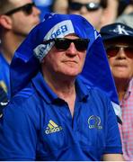21 April 2019; A Leinster supporter during the Heineken Champions Cup Semi-Final match between Leinster and Toulouse at the Aviva Stadium in Dublin. Photo by Ramsey Cardy/Sportsfile