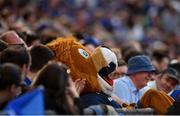 21 April 2019; Leinster mascot Leo the Lion with supporters at the Heineken Champions Cup Semi-Final match between Leinster and Toulouse at the Aviva Stadium in Dublin. Photo by Sam Barnes/Sportsfile