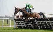 22 April 2019; French Made, with Ruby Walsh up, clear the last on their way to winning the Rathbarry & Glenview Studs Juvenile Hurdle during the Fairyhouse Easter Festival - Irish Grand National day at Fairyhouse Racecourse in Ratoath, Meath. Photo by David Fitzgerald/Sportsfile