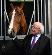 22 April 2019; President of Ireland Michael D. Higgins meets The Very Man, a horse trained by Gordon Elliott, during the Fairyhouse Easter Festival - Irish Grand National day at Fairyhouse Racecourse in Ratoath, Meath. Photo by David Fitzgerald/Sportsfile