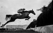 30 April 2019; (EDITORS NOTE: Image has been converted to black & white) Champagne Platinum, with Mark Walsh up, jump the last during the Herald Champion Novice Hurdle at Punchestown Racecourse in Naas, Kildare. Photo by David Fitzgerald/Sportsfile