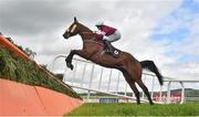 2 May 2019; Mind's Eye, with Rachael Blackmore up, jump the last during the Pigsback.com Handicap Steeplechase at Punchestown Racecourse in Naas, Kildare. Photo by David Fitzgerald/Sportsfile