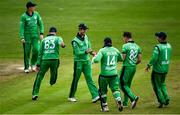 3 May 2019; George Dockrell, centre, and Josh Little of Ireland, second from right, celebrate a wicket during the One Day International between Ireland and England at Malahide Cricket Ground in Dublin. Photo by Sam Barnes/Sportsfile