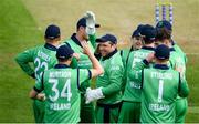 3 May 2019; Gary Wilson of Ireland, centre, celebrates a catch with teammates during the One Day International between Ireland and England at Malahide Cricket Ground in Dublin. Photo by Sam Barnes/Sportsfile