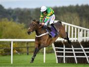 3 May 2019; Buveur D'air, with Davy Russell up, jumps the last on their way to winning the BETDAQ Punchestown Champion Hurdle at Punchestown Racecourse in Naas, Kildare. Photo by Seb Daly/Sportsfile