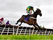 3 May 2019; Buveur D'air, with Davy Russell up, jumps the last on their way to winning the BETDAQ Punchestown Champion Hurdle at Punchestown Racecourse in Naas, Kildare. Photo by Seb Daly/Sportsfile