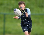 5 May 2019; Navan in action against Seapoint during the Leinster Rugby U13 Plate Final match between Navan and Seapoint at Energia Park in Dublin. Photo by Matt Browne/Sportsfile