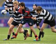 5 May 2019; Coolmine in action against Old Belvedere during the Leinster Rugby U13 Cup Final match between Coolmine and Old Belvedere at Energia Park in Dublin. Photo by Matt Browne/Sportsfile