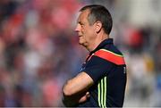 12 May 2019; Cork manager John Meyler during the Munster GAA Hurling Senior Championship Round 1 match between Cork and Tipperary at Pairc Ui Chaoimh in Cork.   Photo by David Fitzgerald/Sportsfile