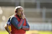 12 May 2019; Louth manager Wayne Kierans during the Leinster GAA Football Senior Championship Round 1 match between Wexford and Louth at Innovate Wexford Park in Wexford.   Photo by Matt Browne/Sportsfile