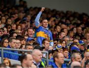 19 May 2019; A Tipperary supporter celebrates a score during the Munster GAA Hurling Senior Championship Round 2 match between Tipperary and Waterford at Semple Stadium, Thurles in Tipperary. Photo by Ray McManus/Sportsfile