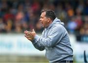 19 May 2019; Wexford manager Davy Fitzgerald during the Leinster GAA Hurling Senior Championship Round 2 match between Dublin and Wexford at Parnell Park in Dublin. Photo by Daire Brennan/Sportsfile