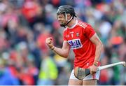 19 May 2019; Darragh Fitzgibbon of Cork celebrates after the Munster GAA Hurling Senior Championship Round 2 match between Limerick and Cork at the LIT Gaelic Grounds in Limerick. Photo by Piaras Ó Mídheach/Sportsfile