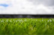 26 May 2019; A detailed view of the grass at Pearse Stadium prior to the Leinster GAA Hurling Senior Championship Round 3A match between Galway and Wexford at Pearse Stadium in Galway. Photo by Stephen McCarthy/Sportsfile