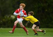 26 May 2019; Cian Robertson from Co. Limerick in action against Samuel Egan from Rosses Point, Co. Sligo, competing in the Boys Mini Rugby Semi-Final event during Day 2 of the Aldi Community Games May Festival, which saw over 3,500 children take part in a fun-filled weekend at University of Limerick. Photo by Harry Murphy/Sportsfile