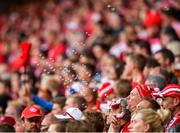 7 June 2019; A Denmark supporter blows bubbles during the UEFA EURO2020 Qualifier Group D match between Denmark and Republic of Ireland at Telia Parken in Copenhagen, Denmark. Photo by Seb Daly/Sportsfile
