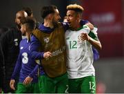 7 June 2019; Callum Robinson, right, and Greg Cunningham of Republic of Ireland following the UEFA EURO2020 Qualifier Group D match between Denmark and Republic of Ireland at Telia Parken in Copenhagen, Denmark. Photo by Stephen McCarthy/Sportsfile