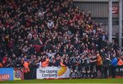 14 June 2019; Bohemians players and supporters celebrate after their side's second goal, scored by Daniel Mandroiu, during the SSE Airtricity League Premier Division match between Bohemians and Shamrock Rovers at Dalymount Park in Dublin. Photo by Ben McShane/Sportsfile