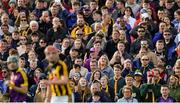 15 June 2019; Supporters react during the Leinster GAA Hurling Senior Championship Round 5 match between Wexford and Kilkenny at Innovate Wexford Park in Wexford. Photo by Piaras Ó Mídheach/Sportsfile