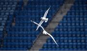 23 June 2019; Seagulls fly around the stadium during the Leinster GAA Football Senior Championship Final match between Dublin and Meath at Croke Park in Dublin. Photo by Brendan Moran/Sportsfile