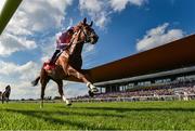 29 June 2019; Sovereign with Padraig Beggy up, on their way to winning the Dubai Duty Free Irish Derby during day three of the Irish Derby Festival at The Curragh Racecourse in Kildare. Photo by Matt Browne/Sportsfile