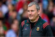 29 June 2019; Mayo manager James Horan during the GAA Football All-Ireland Senior Championship Round 3 match between Mayo and Armagh at Elverys MacHale Park in Castlebar, Mayo. Photo by Brendan Moran/Sportsfile