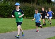 30 June 2019; parkrun Ireland in partnership with Vhi, expanded their range of junior events to 21 with the introduction of the Malahide Castle junior parkrun on Sunday morning. Junior parkruns are 2km long and cater for 4 to 14-year olds, free of charge providing a fun and safe environment for children to enjoy exercise. To register for a parkrun near you visit www.parkrun.ie. Pictured during the during the Malahide Castle Junior parkrun is Connor Kelly at Malahide Castle in Malahide, Dublin. Photo by Sam Barnes/Sportsfile